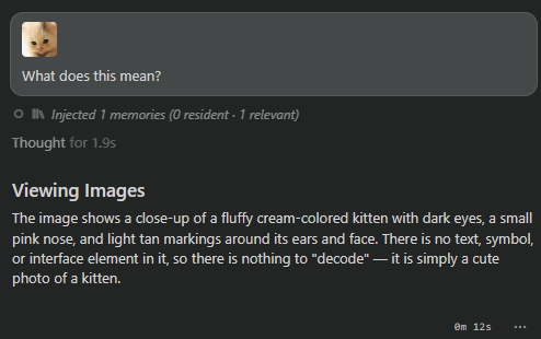 Conversation where the custom model recognizes the attached image through the selected image-recognition model